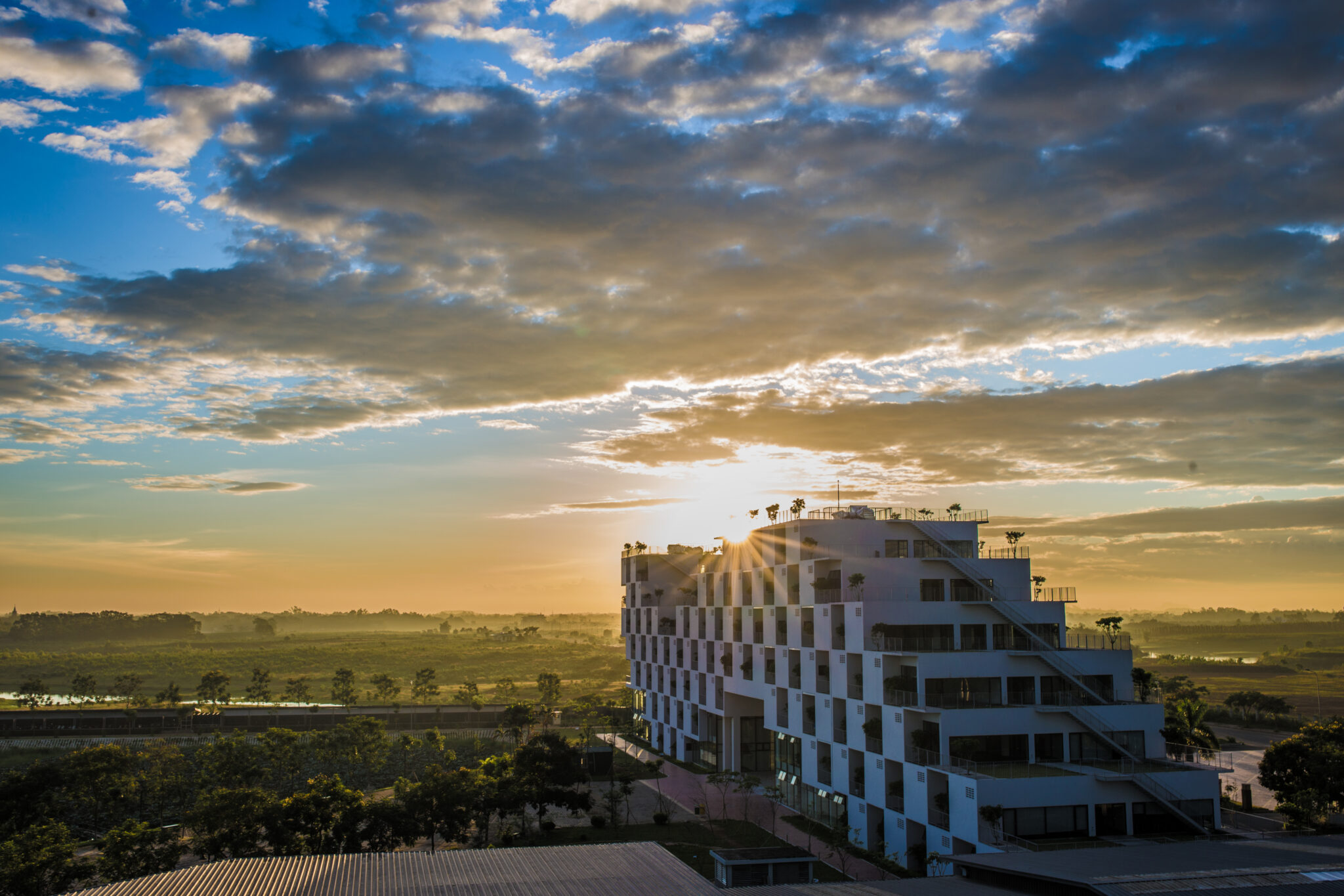 Tổ chức giáo dục FPT